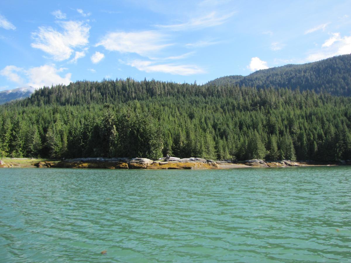 Stewart Mountain Lodge Luaran gambar